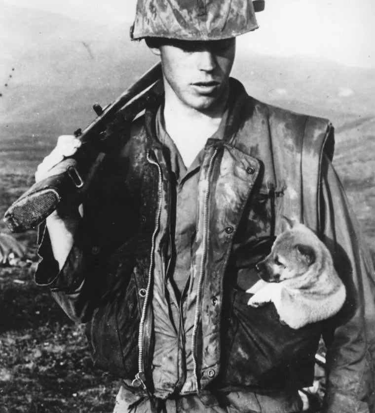 MADE FOR MOVEMENT - The military origins and evolution of the Gilet
